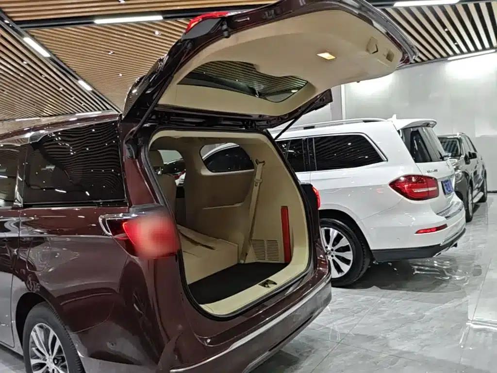 Buick GL8 2022 ES Avantgarde 653T Premium Edition — миниатюра 19