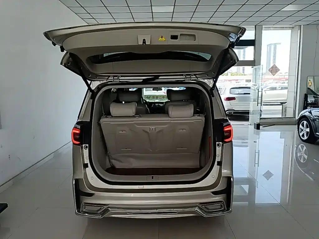 Buick GL8 2021 ES Avantgarde 653T Comfort — миниатюра 19