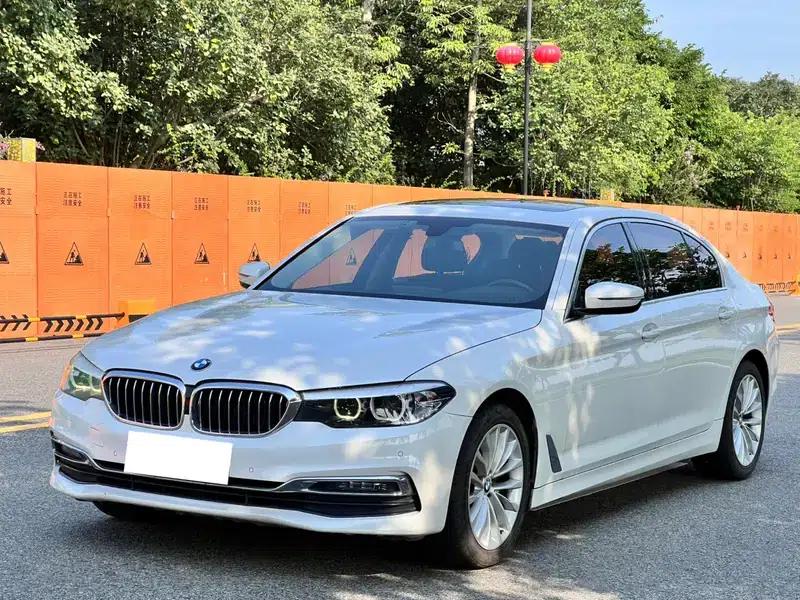 2019 BMW 5 Series 525Li Luxury Package — миниатюра 1