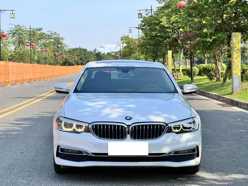 2019 BMW 5 Series 525Li Luxury Package — миниатюра 2