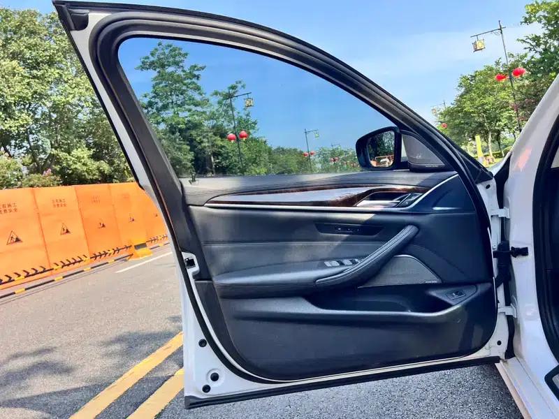 2019 BMW 5 Series 525Li Luxury Package — миниатюра 15