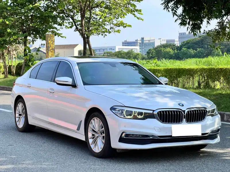 2019 BMW 5 Series 525Li Luxury Package — миниатюра 3