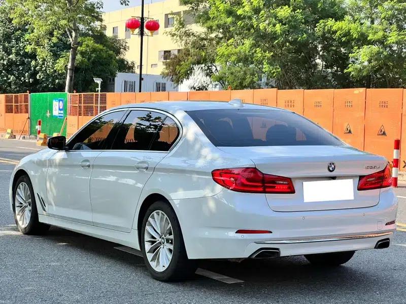 2019 BMW 5 Series 525Li Luxury Package — миниатюра 4
