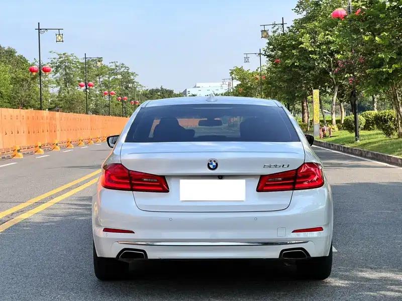 2019 BMW 5 Series 525Li Luxury Package — миниатюра 5
