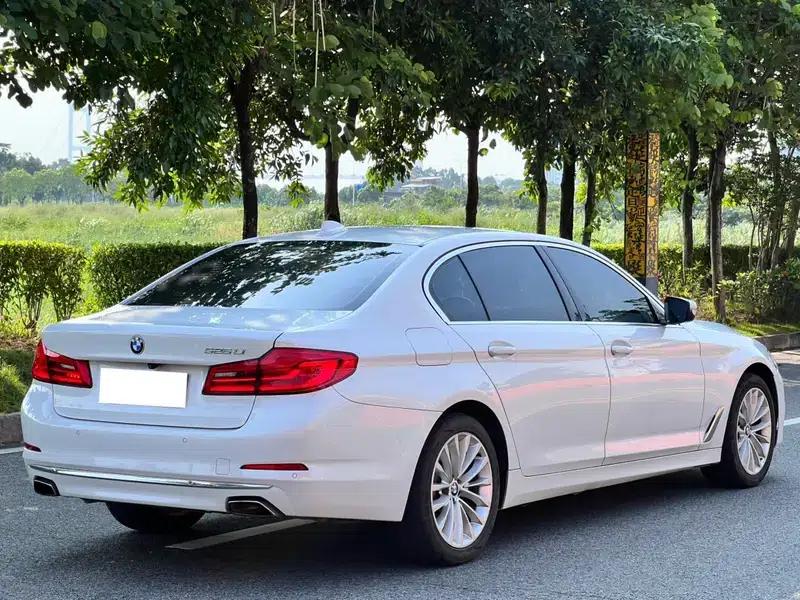 2019 BMW 5 Series 525Li Luxury Package — миниатюра 6