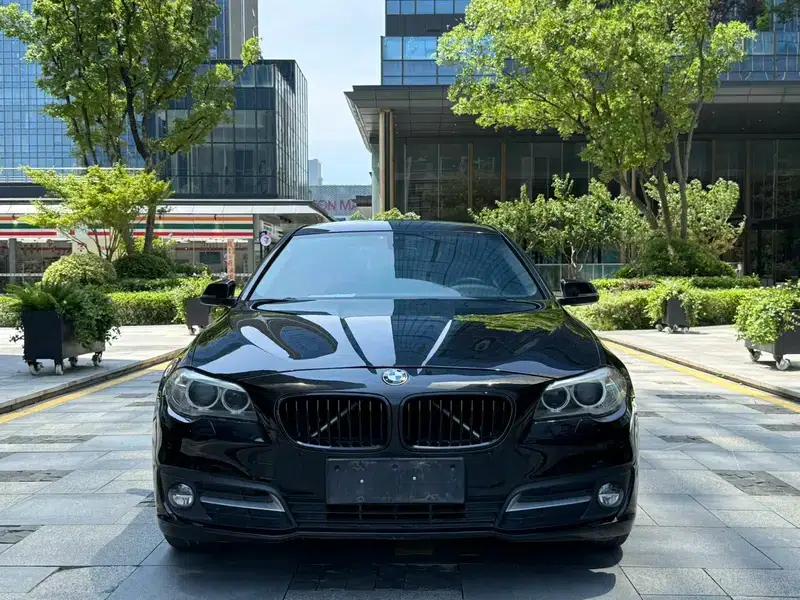2014 BMW 5 Series 520Li Elegant Edition — миниатюра 2