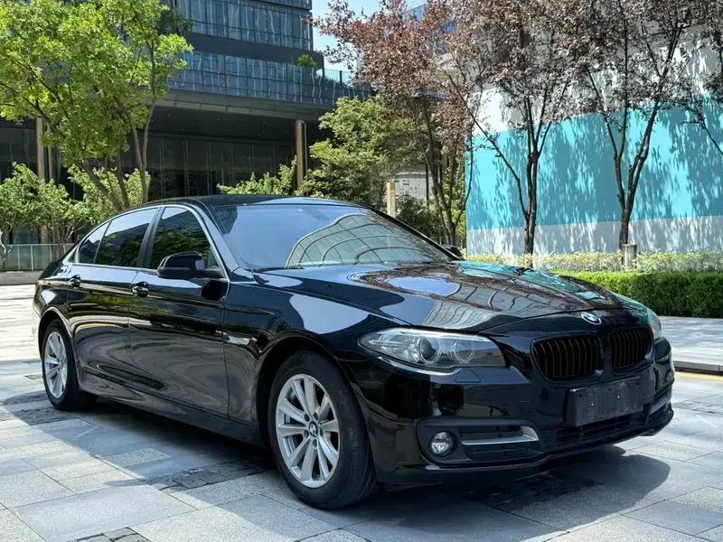 2014 BMW 5 Series 520Li Elegant Edition — миниатюра 3