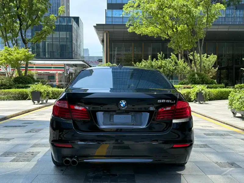 2014 BMW 5 Series 520Li Elegant Edition — миниатюра 5