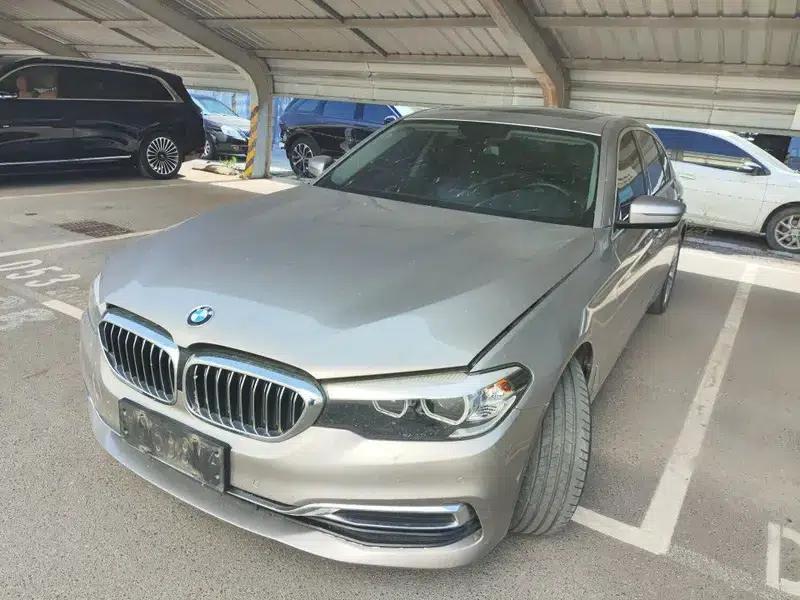 2019 BMW 5 Series Facelift 530Li xDrive Luxury Package — миниатюра 1