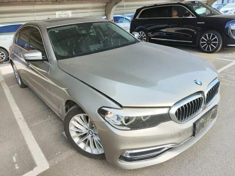 2019 BMW 5 Series Facelift 530Li xDrive Luxury Package — миниатюра 2
