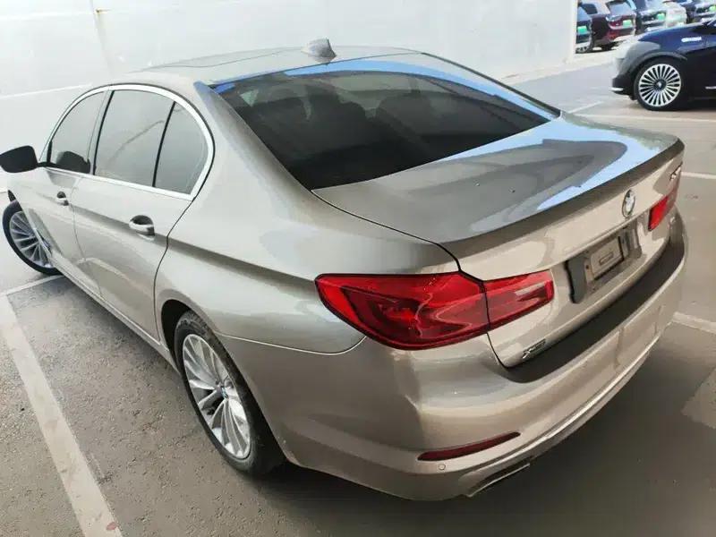 2019 BMW 5 Series Facelift 530Li xDrive Luxury Package — миниатюра 3