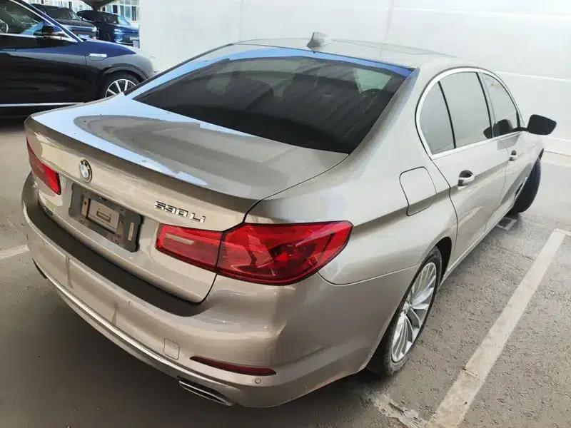 2019 BMW 5 Series Facelift 530Li xDrive Luxury Package — миниатюра 4