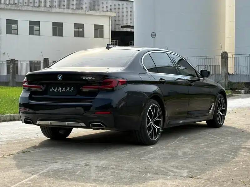 2022 BMW 5 Series, third facelift, 530Li Luxury M Sport Package — миниатюра 7