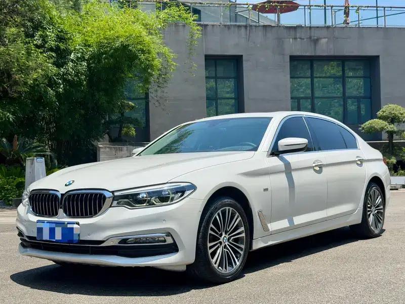 BMW 5 Series 2018 530Li Luxury Package — миниатюра 1