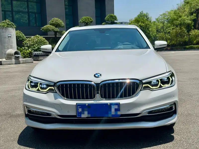 BMW 5 Series 2018 530Li Luxury Package — миниатюра 2