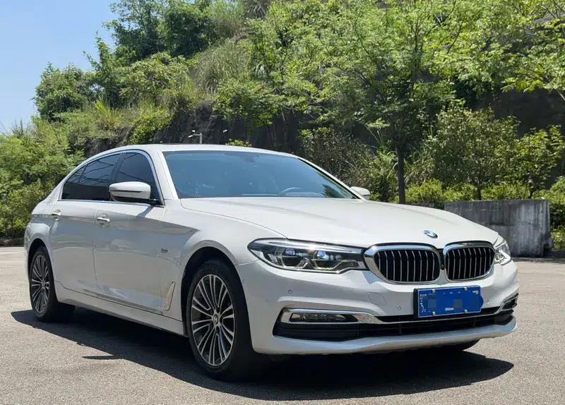 BMW 5 Series 2018 530Li Luxury Package — миниатюра 3