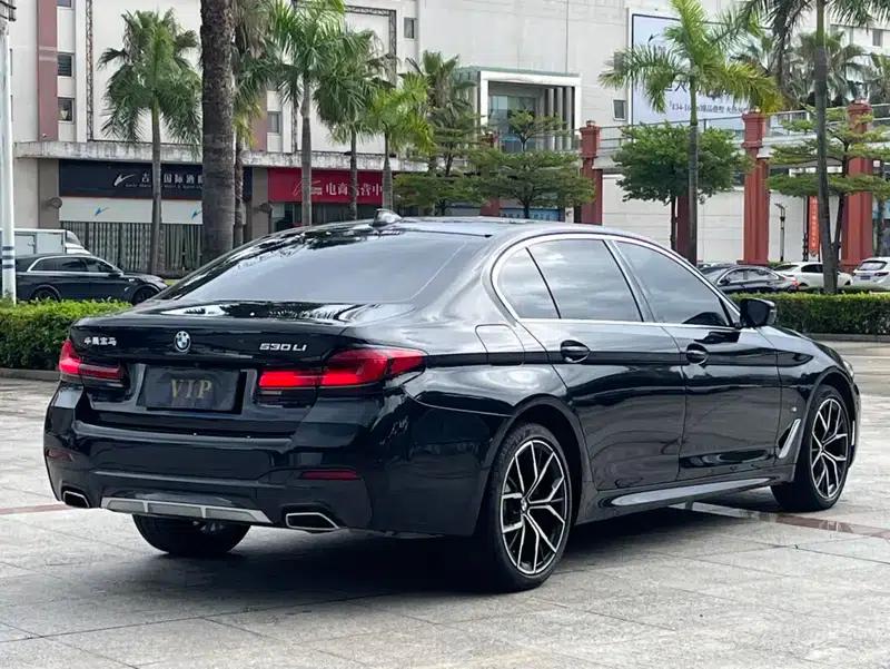 2022 BMW 5 Series, third facelift, 530Li Luxury M Sport Package — миниатюра 6