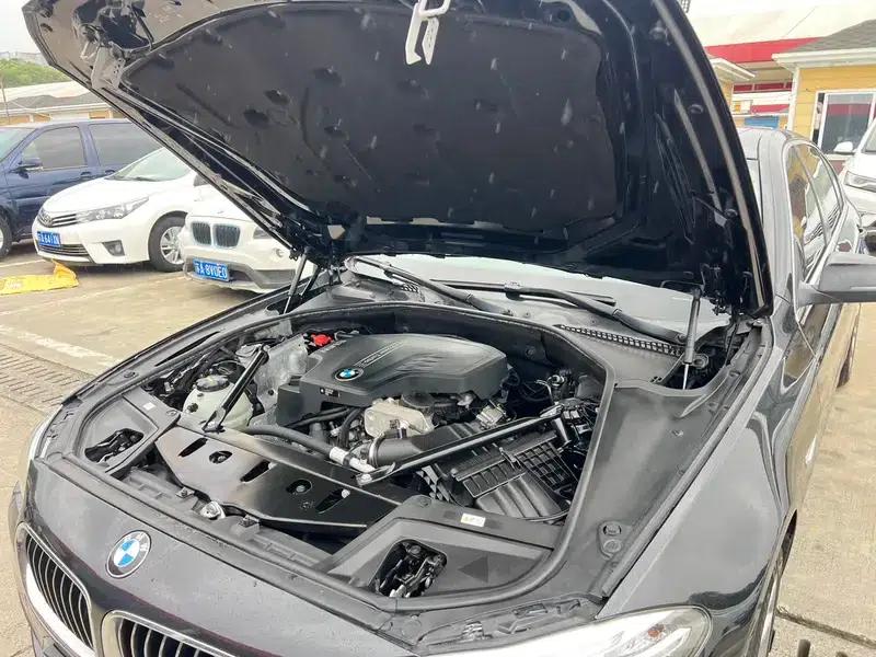 2017 BMW 5 Series 525Li Luxury Design Package — миниатюра 14