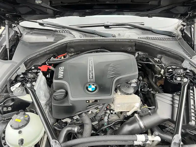 2017 BMW 5 Series 525Li Luxury Design Package — миниатюра 15