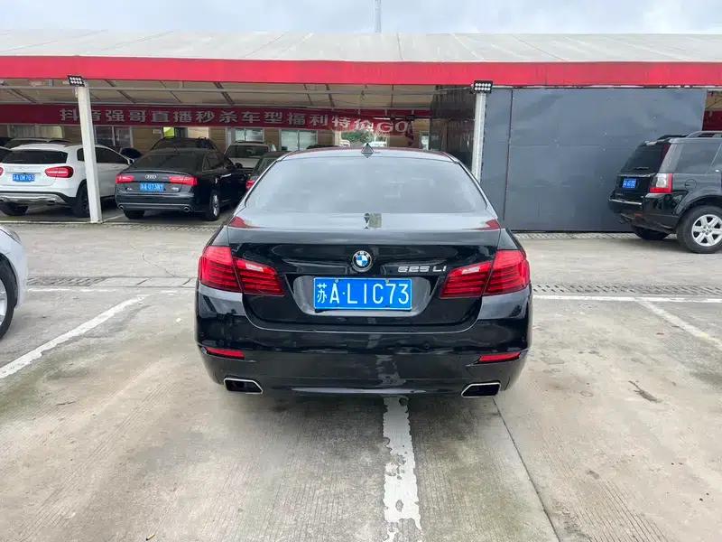 2017 BMW 5 Series 525Li Luxury Design Package — миниатюра 5