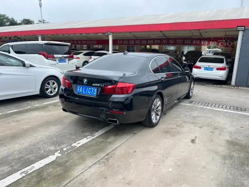 2017 BMW 5 Series 525Li Luxury Design Package — миниатюра 6