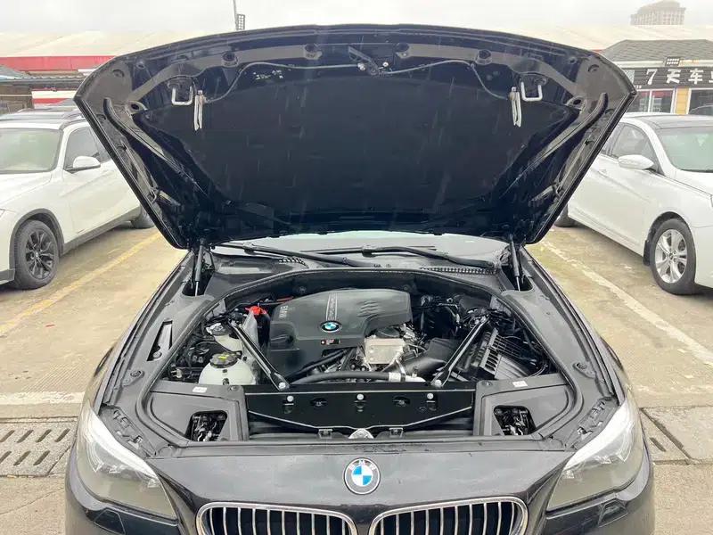 2017 BMW 5 Series 525Li Luxury Design Package — миниатюра 8