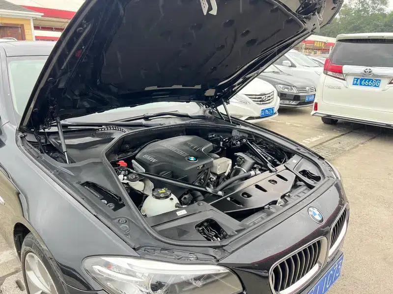 2017 BMW 5 Series 525Li Luxury Design Package — миниатюра 9