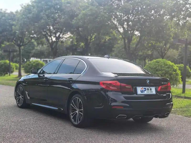 2020 BMW 5 Series 530Li Executive M Sport Package — миниатюра 5