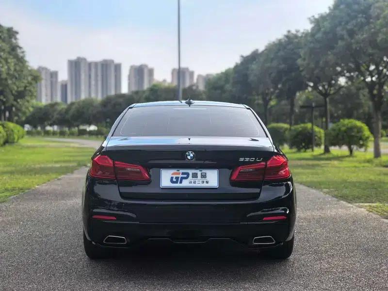 2020 BMW 5 Series 530Li Executive M Sport Package — миниатюра 6