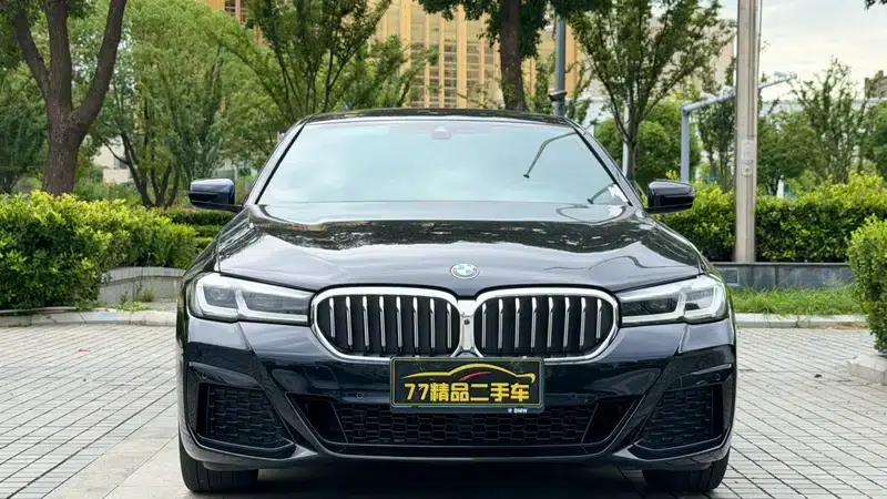 2023 BMW 5 Series Facelift 530Li Luxury M Sport Package — миниатюра 2