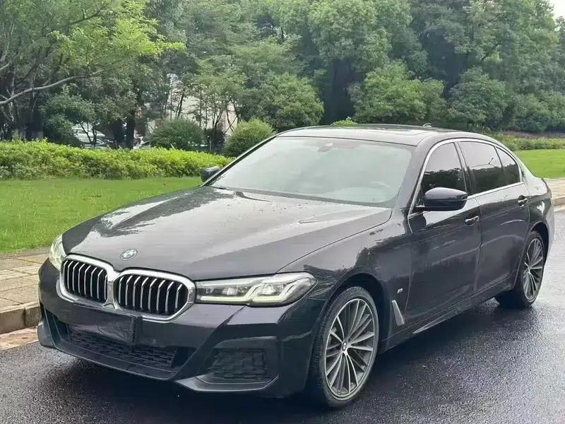 BMW 5 Series 2021 Facelift 530Li Leading Luxury Package — миниатюра 1