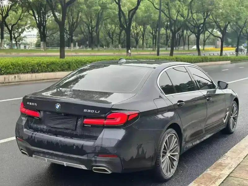 BMW 5 Series 2021 Facelift 530Li Leading Luxury Package — миниатюра 5