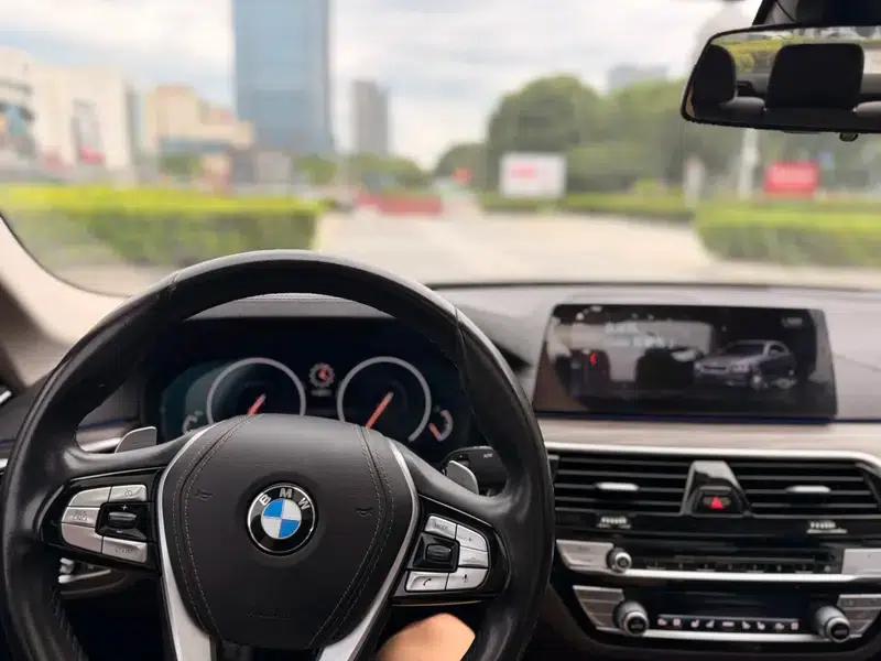 BMW 5 Series 2019 Facelift 530Li Luxury Package — миниатюра 9