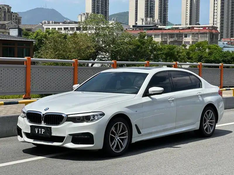 2019 BMW 5 Series 525Li M Sport Package — миниатюра 1