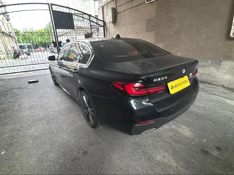 2021 BMW 5 Series 530Li Leading Edition M Sport Package — миниатюра 6