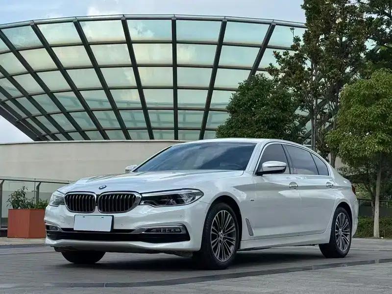 BMW 5 Series 2018 530Li Luxury Package — миниатюра 1