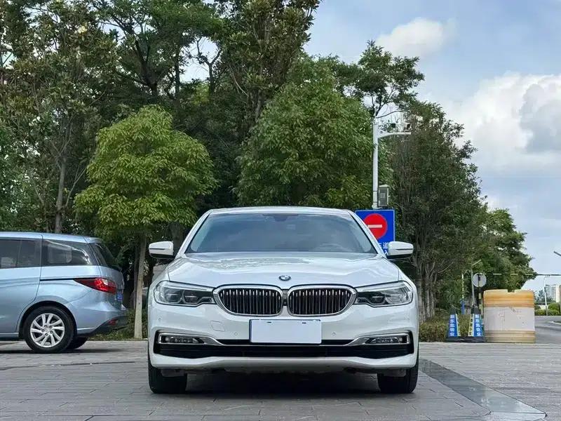 BMW 5 Series 2018 530Li Luxury Package — миниатюра 2