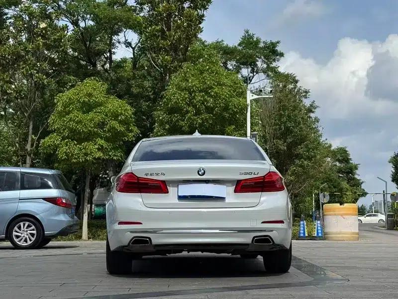 BMW 5 Series 2018 530Li Luxury Package — миниатюра 6