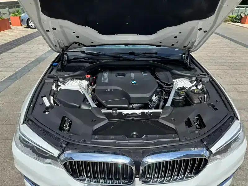 BMW 5 Series 2018 530Li Luxury Package — миниатюра 9