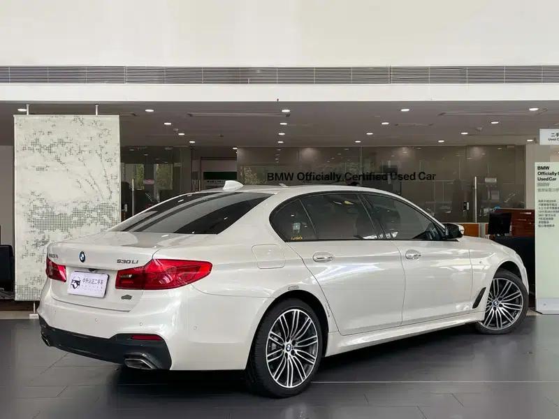 BMW 5 Series 2018 530Li Luxury Package — миниатюра 5