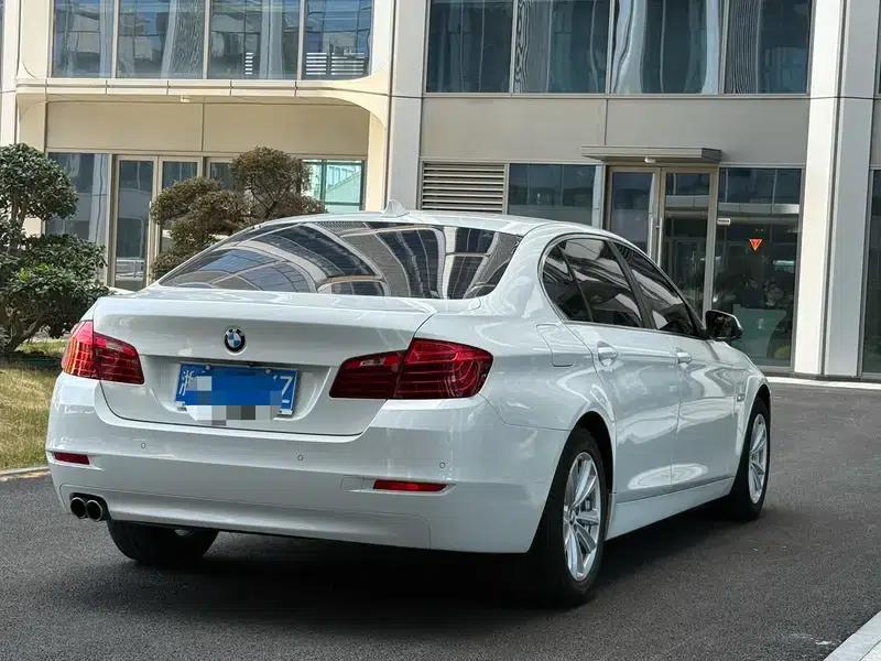 2014 BMW 5 Series 520Li Elegant Edition — миниатюра 5
