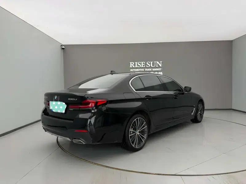 2023 BMW 5 Series 530Li Leading Luxury Package — миниатюра 7