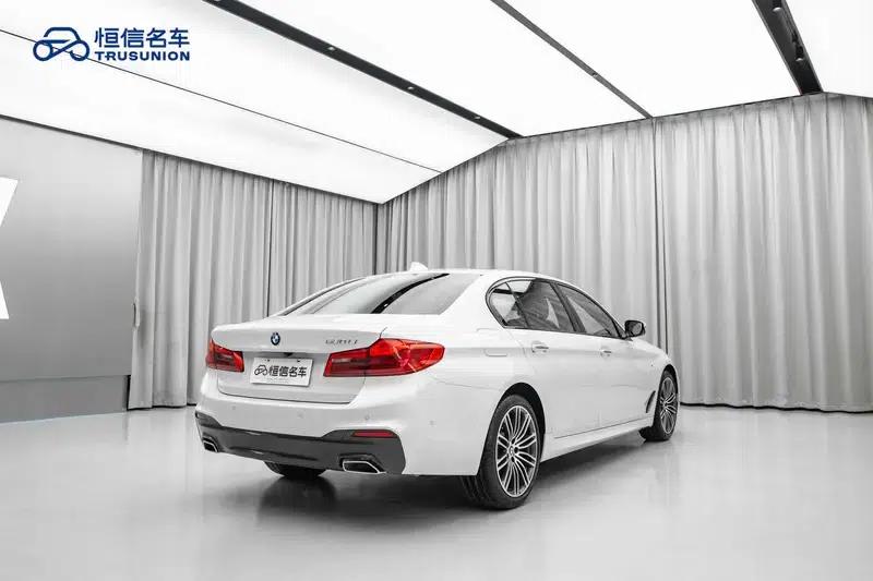 2018 BMW 5 Series 530Li Luxury M Sport Package — миниатюра 6