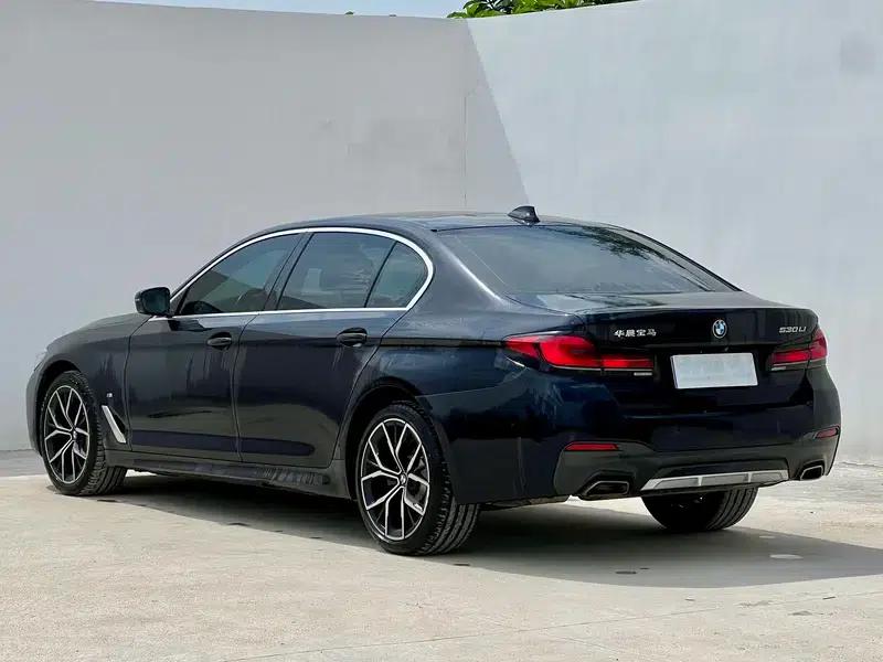 2022 BMW 5 Series Facelift 530Li Luxury M Sport Package — миниатюра 4
