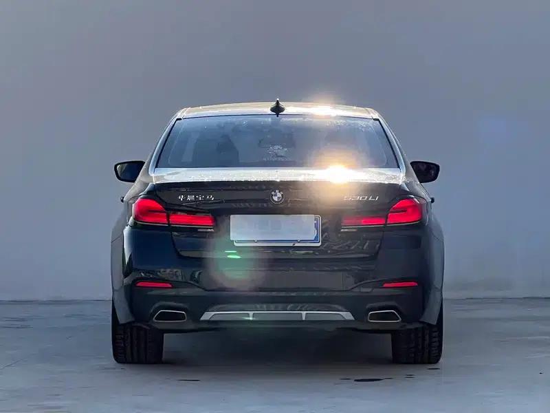 2021 BMW 5 Series Facelift 530Li Leading Edition M Sport Package — миниатюра 5