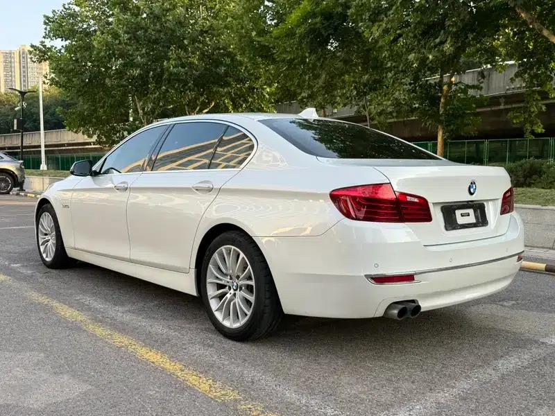 2017 BMW 5 Series 525Li Luxury Design Package — миниатюра 3