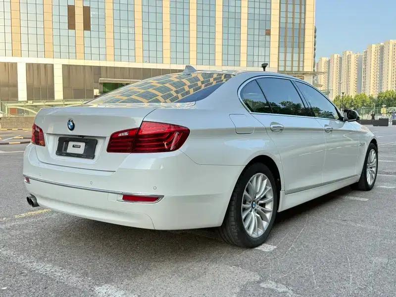 2017 BMW 5 Series 525Li Luxury Design Package — миниатюра 4