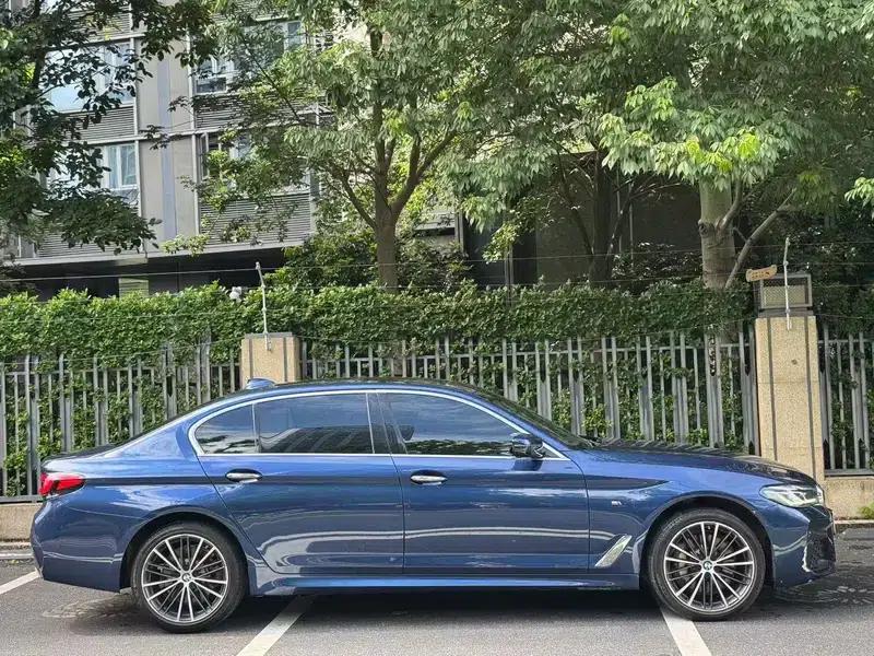 2021 BMW 5 Series 530Li Leading Edition M Sport Package — миниатюра 5
