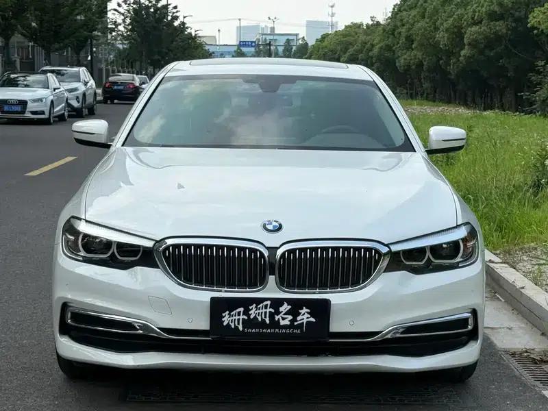 2020 BMW 5 Series 525Li Luxury Package — миниатюра 2