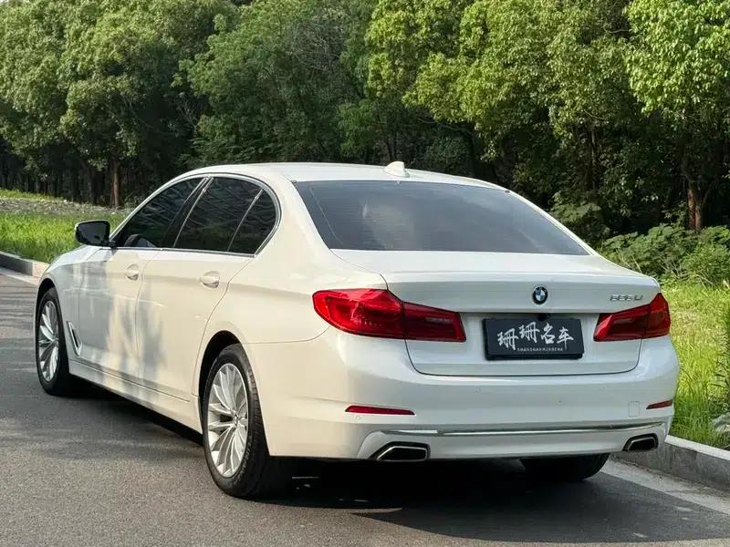 2020 BMW 5 Series 525Li Luxury Package — миниатюра 4